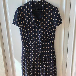 J Crew Silk Polka Dot Dress size 4